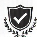 Ícone de escudo simbolizando qualidade
